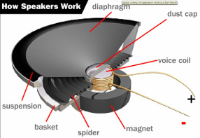 Image result for diaphragm loudspeaker